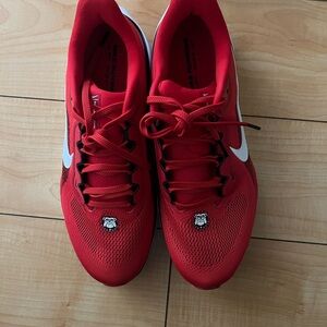 Nike Air Zoom Pegasus 41 Georgia Bulldogs Shoes FZ5115-600 Red NEW Men's